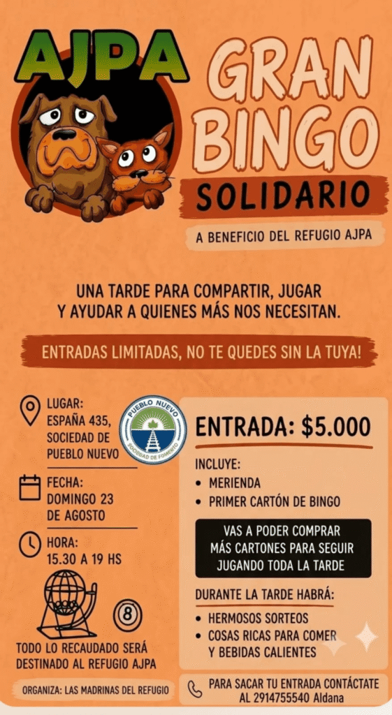 bingo solidario